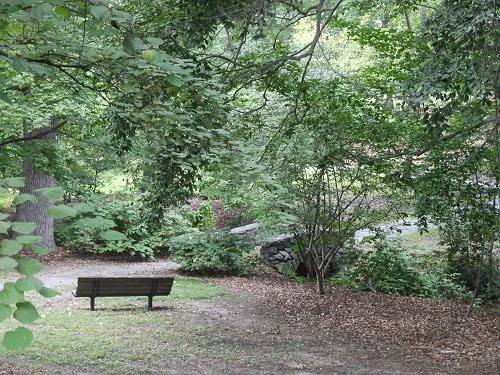 Flying During Covid-19: Planes, Poems, and Virtual Journeys – Sarah ...